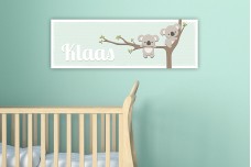 Schattige koalabeertjes